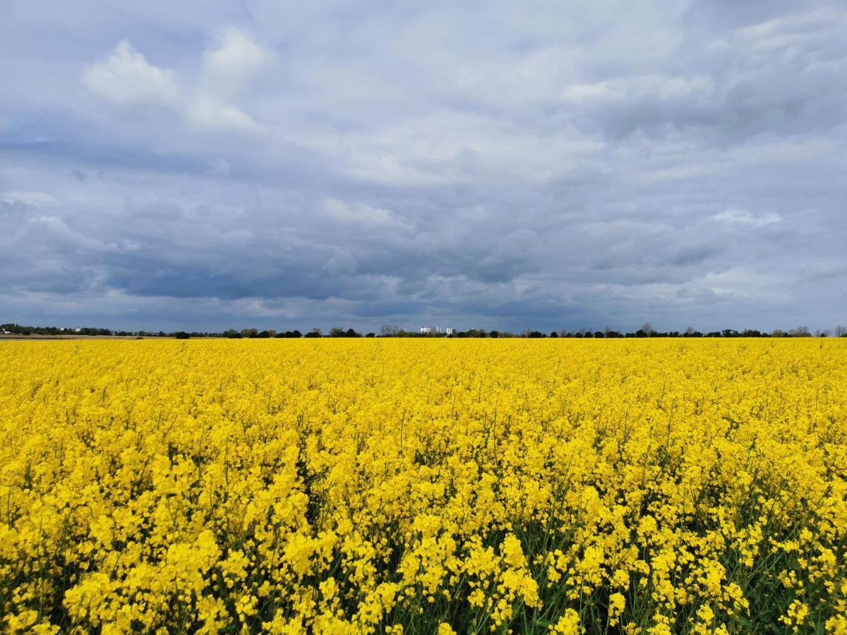 Fewo Westwind Fehmarn Zewnętrze zdjęcie